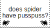 'does spider have pusspuss?'