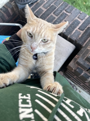 My manicure, featuring pink shimmery polish
